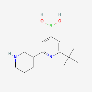 Chemical structure of 2-(tert-Butyl)-6-(piperidin-3-yl)pyridine-4-boronic acid