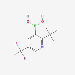 Chemical structure of 2-(tert-Butyl)-5-(trifluoromethyl)pyridine-3-boronic acid