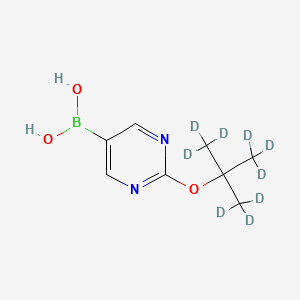 Chemical structure of 2-(tert-Butoxy-d9)-pyrimidine-5-boronic acid