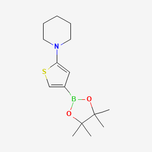 Chemical structure of 2-(Piperidino)thiophene-4-boronic acid pinacol ester
