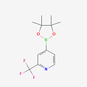 Chemical structure of 2-(Piperidin-3-yl)-4-trifluoromethylphenylboronic acid