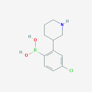 Chemical structure of 2-(Piperidin-3-yl)-4-chlorophenylboronic acid