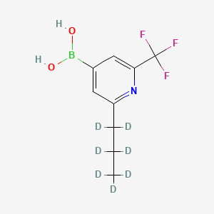 Chemical structure of 2-(n-Propyl-d7)-6-trifluoromethylpyridine-4-boronic acid