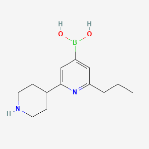 Chemical structure of (2-(Piperidin-4-yl)-6-propylpyridin-4-yl)boronic acid