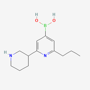 Chemical structure of (2-(Piperidin-3-yl)-6-propylpyridin-4-yl)boronic acid