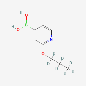 Chemical structure of 2-(n-Propoxy-d7)-pyridine-4-boronic acid