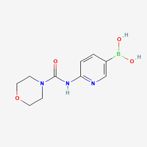 Chemical structure of 2-(Morpholine-4-ylformamido) pyridine-5-boric acid