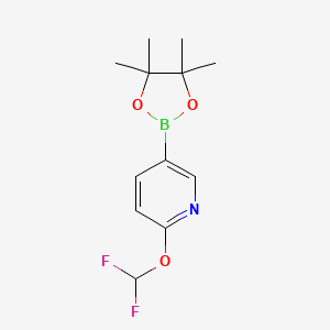 Chemical structure of 2-(difluoromethoxy)-5-(4,4,5,5-tetramethyl-1,3,2-dioxaborolan-2-yl)pyridine
