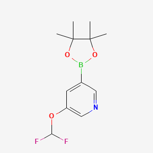 Chemical structure of 2-(Difluoromethoxy)-4-(4,4,5,5-tetramethyl-1,3,2-dioxaborolan-2-yl)pyridine