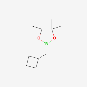 Chemical structure of 2-(cyclobutylmethyl)-4,4,5,5-tetramethyl-1,3,2-dioxaborolane