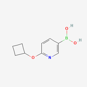 Chemical structure of 2-(Cyclobutoxy)pyridine-5-boronic acid