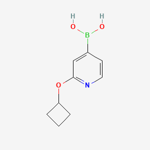 Chemical structure of 2-(Cyclobutoxy)pyridine-4-boronic acid