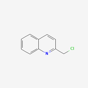 Chemical structure of 2-(Chloromethyl)Quinoline