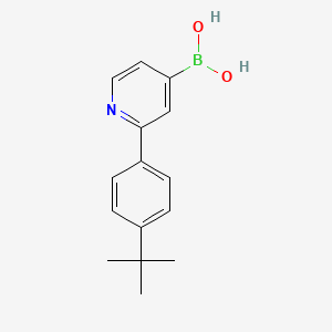 Chemical structure of 2-(4-tert-Butylphenyl)pyridine-4-boronic acid