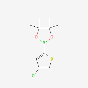 Chemical structure of 2-(4-Chlorothiophen-2-yl)-4,4,5,5-tetramethyl-1,3,2-dioxaborolane