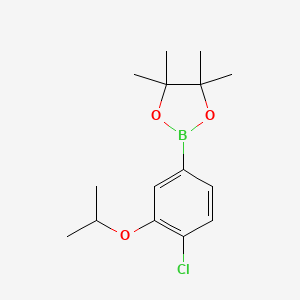 Chemical structure of 2-(4-Chloro-3-isopropoxyphenyl)-4,4,5,5-tetramethyl-1,3,2-dioxaborolane