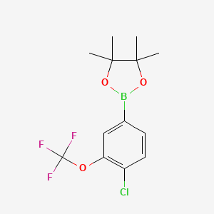 Chemical structure of 2-(4-Chloro-3-(trifluoromethoxy)phenyl)-4,4,5,5-tetramethyl-1,3,2-dioxaborolane