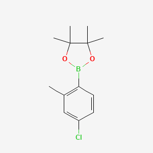 Chemical structure of 4-Chloro-2-methylphenylboronic acid pinacol ester