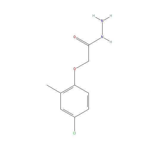 Chemical structure of 2-(4-Chloro-2-methylphenoxy)acetohydrazide