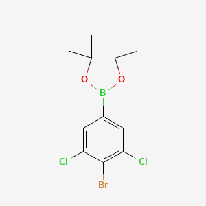 Chemical structure of 2-(4-Bromo-3,5-dichlorophenyl)-4,4,5,5-tetramethyl-1,3,2-dioxaborolane