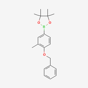 Chemical structure of 2-(4-(benzyloxy)-3-methylphenyl)-4,4,5,5-tetramethyl-1,3,2-dioxaborolane