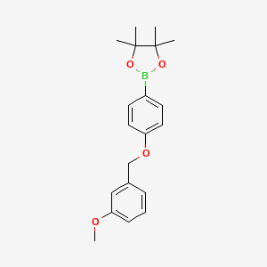 Chemical structure of 2-(4-((3-Methoxybenzyl)oxy)phenyl)-4,4,5,5-tetramethyl-1,3,2-dioxaborolane