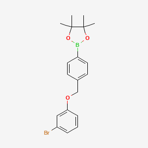 Chemical structure of 2-(4-((3-bromophenoxy)methyl)phenyl)-4,4,5,5-tetramethyl-1,3,2-dioxaborolane