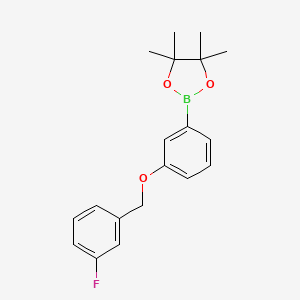 Chemical structure of 2-(3-((3-Fluorobenzyl)oxy)phenyl)-4,4,5,5-tetramethyl-1,3,2-dioxaborolane