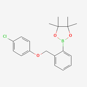 Chemical structure of 2-(2-((4-Chlorophenoxy)methyl)phenyl)-4,4,5,5-tetramethyl-1,3,2-dioxaborolane