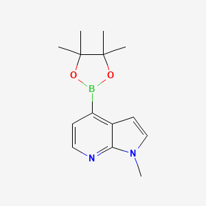 Chemical structure of 1-Methyl-4-(tetramethyl-1,3,2-dioxaborolan-2-yl)-1H-pyrrolo[2,3-b]pyridine
