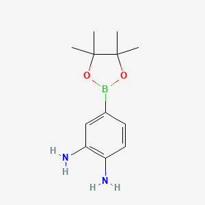 Chemical structure of 1-Cyclopropylpyrazole-5-boronic Acid Pinacol Ester