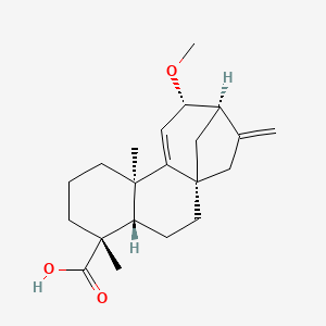 Chemical structure of 12α-Methoxygrandiflorenic acid
