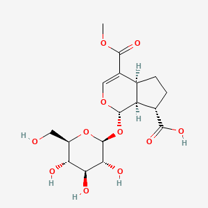 Chemical structure of 11-Methylforsythide