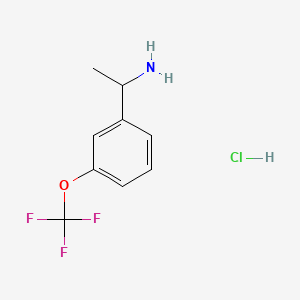 Chemical structure of 1-[3-(Trifluoromethoxy)phenyl]ethan-1-amine hydrochloride