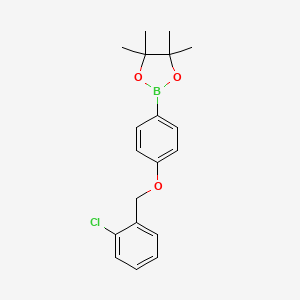 Chemical structure of 1,3,2-Dioxaborolane, 2-[4-[(2-chlorophenyl)methoxy]phenyl]-4,4,5,5-tetramethyl-