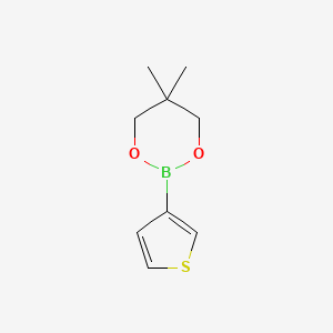 Chemical structure of 1,3,2-Dioxaborinane, 5,5-dimethyl-2-(3-thienyl)-