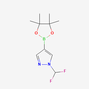 Chemical structure of 1-(Difluoromethyl)-4-(4,4,5,5-tetramethyl-1,3,2-dioxaborolan-2-yl)-1H-pyrazole