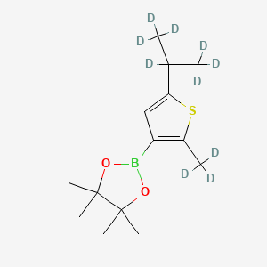 Chemical structure of [2-Methyl-5-(iso-propyl)-d10]-thiophene-3-boronic acid pinacol ester