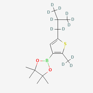 Chemical structure of [2-Methyl-5-(iso-butyl)-d12]-thiophene-3-boronic acid pinacol ester