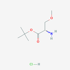 Chemical structure of (S)-tert-Butyl 2-amino-3-methoxypropanoate hydrochloride