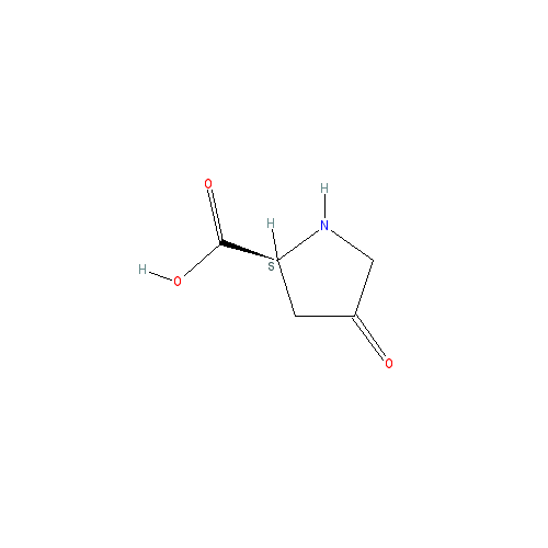 Chemical structure of 4-oxo-L-proline