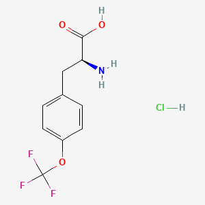 Chemical structure of (S)-2-Amino-3-(4-(trifluoromethoxy)phenyl)propanoic acid hydrochloride