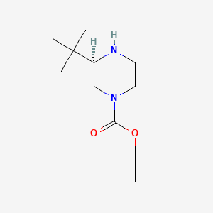 Chemical structure of (R)-tert-Butyl 3-(tert-butyl)piperazine-1-carboxylate