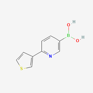 Chemical structure of (6-(thiophen-3-yl)pyridin-3-yl)boronic acid