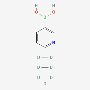 Chemical structure of (6-(propyl-d7)pyridin-3-yl)boronic acid