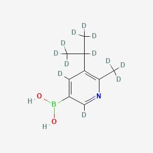 Chemical structure of (6-(methyl-d3)-5-(propan-2-yl-d7)pyridin-3-yl-2,4-d2)boronic acid