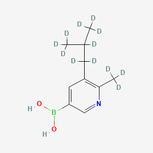 Chemical structure of [6-Methyl-5-(iso-butyl)-d12]-pyridine-3-boronic acid