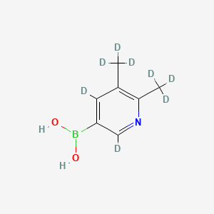 Chemical structure of (5,6-bis(methyl-d3)pyridin-3-yl-2,4-d2)boronic acid