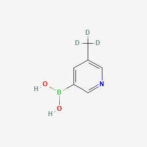 Chemical structure of 5-(Methyl-d3)-pyridine-3-boronic acid