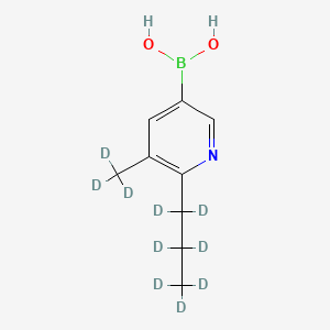 Chemical structure of (5-(methyl-d3)-6-(propyl-d7)pyridin-3-yl)boronic acid